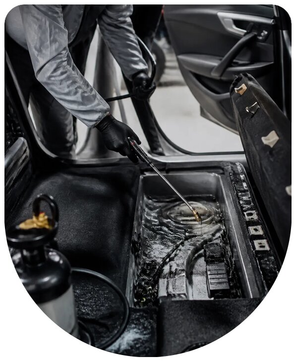 Профессиональная дератизация автомобиля от грызунов в Перми